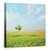Tablou Canvas - Totul E Bine, Copac, Peisaj, Vara, Singur, Marime: 60 x 60 cm - - Roveli