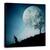 Tablou Canvas - Visatorul, Luna, Rotund, Cerc, Spatiu, Marime: 60 x 60 cm - - Roveli