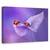 Tablou canvas - Anemone Japonica, Natura moarta, Flori, Marime: 60 x 90 cm - - Roveli