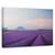 Tablou canvas - Orbitele lui Venus, Portret, Palarie, Femeie, Moda, Marime: 60 x 90 cm - - Roveli