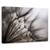Tablou canvas - Flori, Abstracte, Atmosfera, Bland, Marime: 60 x 90 cm - - Roveli