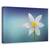 Tablou canvas - Floria Paradisului, Natura moarta, Turcoaz, Simplitate, Minimalism, Marime: 60 x 90 cm - - Roveli