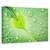 Tablou canvas - Spanz, Natura moarta, Primavara, Flori, Marime: 60 x 90 cm - - Roveli