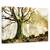 Tablou canvas - Natura moarta, Struguri, Mere, Frunze, Marime: 60 x 90 cm - - Roveli