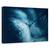 Tablou canvas - Papadie albastra, Flori, Picatura, Lumina, Tonifiat, Marime: 60 x 90 cm - - Roveli