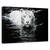 Tablou canvas - Aceste momente magice, Peisaj, Ceata, Toamna, Dimineata, Marime: 60 x 90 cm - - Roveli