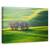Tablou canvas - Pene si stropi, Flori, Camp, Vara, Marime: 60 x 90 cm - - Roveli