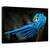 Tablou canvas - Padurea albastra, Peisaj, Ceata, Vara, Flori, Marime: 60 x 90 cm - - Roveli
