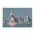 Tablou Canvas - Ingerii Din Camargue, Marime: 40 x 60 cm - - Roveli