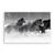 Tablou Canvas - Cai, Iarna, Ninsoare, Animal, Marime: 40 x 60 cm - - Roveli