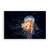 Tablou Canvas -  Meduza, Animal, Mare, Marime: 40 x 60 cm - - Roveli