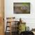 Tablou canvas - Frumusetea reflectiei, Natura, Broasca, Dragut, Curiozitate, 60 x 90 cm - 2- Roveli