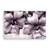 Tablou Canvas - Floral, Flori, Primavara, Pictura, Marime: 40 x 60 cm - - Roveli