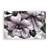 Tablou Canvas - Floral, Flori, Primavara, Marime: 60 x 90 cm - - Roveli