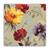 Tablou Canvas - Floral, Vintage, Gerbera, 60 x 60 cm - - Roveli