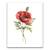 Tablou Canvas - Flori de maci, Floare, Primavara, Rosu, Marime: 40 x 50 cm - - Roveli