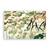 Tablou Canvas - Floral, Frunze, Marime: 60 x 90 cm - - Roveli