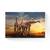 Tablou canvas - Flori, Apus De Soare, Nori, Safari, Marime: 40 x 60 cm - - Roveli