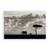 Tablou Canvas - Elefant I, Africa, Natura, Peisaj, Animal, Marime: 60 x 90 cm - - Roveli