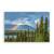 Tablou Canvas - Curcubeu peste Yukon, Brad, Padure, Munte, Marime: 40 x 60 cm - - Roveli