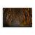 Tablou Canvas - Padure, Toamna, Natura, Peisaj, Marime: 40 x 60 cm - - Roveli