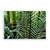 Tablou Canvas - Natura, Verde, Frunza, Marime: 60 x 90 cm - - Roveli