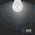 BEC LED A60 E27 10.5W 6500K ALB RECE - 6- Roveli