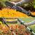 TRIMMER GARD VIU TELESCOPIC + DRUJBA 20V FARA ACC REBEL - 6- Roveli