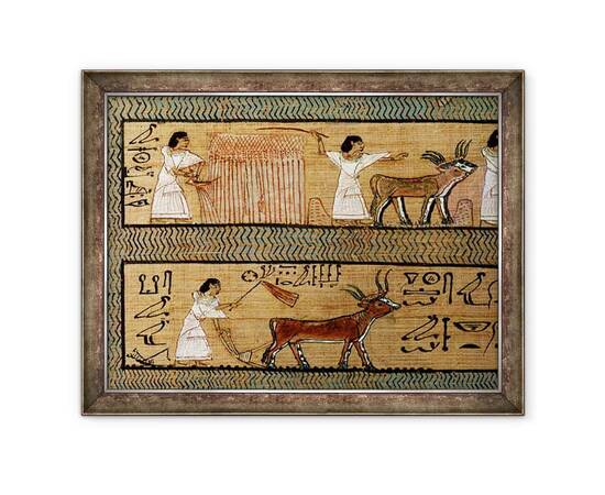 Roveli - Tablou inramat - Egyptian 19th Dynasty - Culege si arat, detalii dintr-o reprezentare a activitatilor agricole in viata de apoi, din Cartea mortilor carturarului Orice-