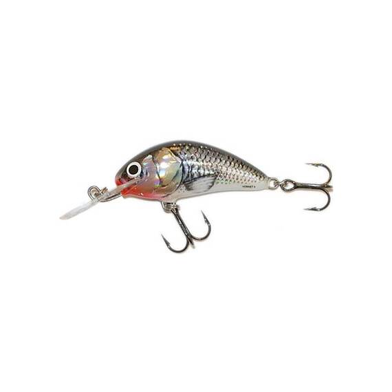 Vobler Salmo Hornet H5F - - Roveli