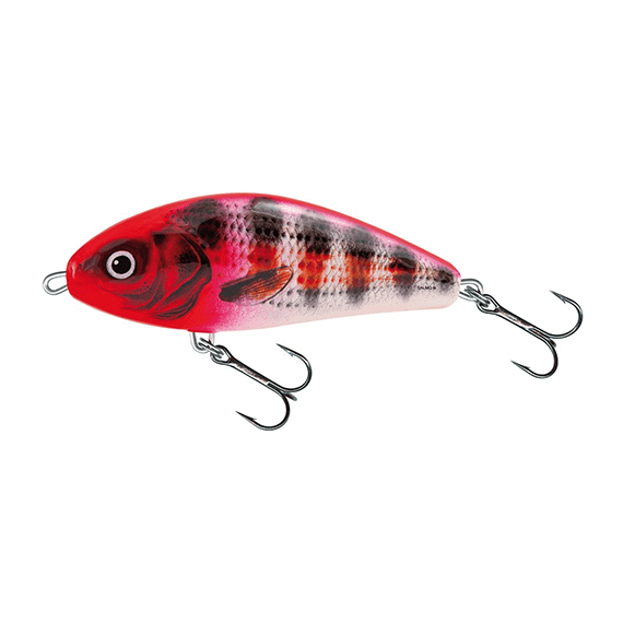 Vobler Salmo Fatso F10F - - Roveli