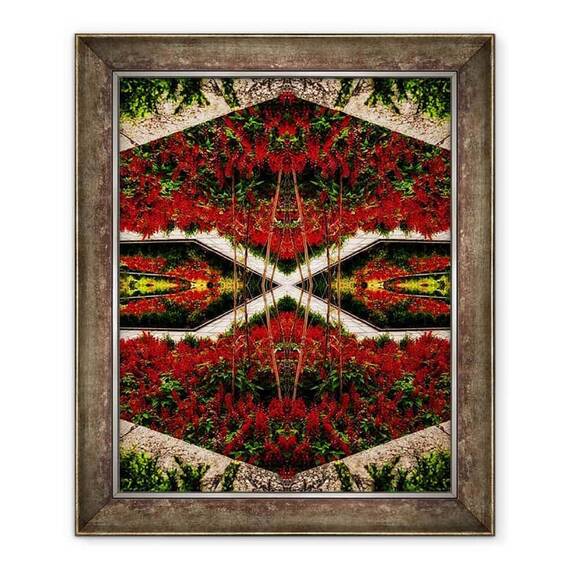 Tablou inramat - Ant Smith - Pat de flori rosii - - Roveli