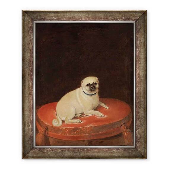 Tablou inramat - Anonymous - Pug - - Roveli