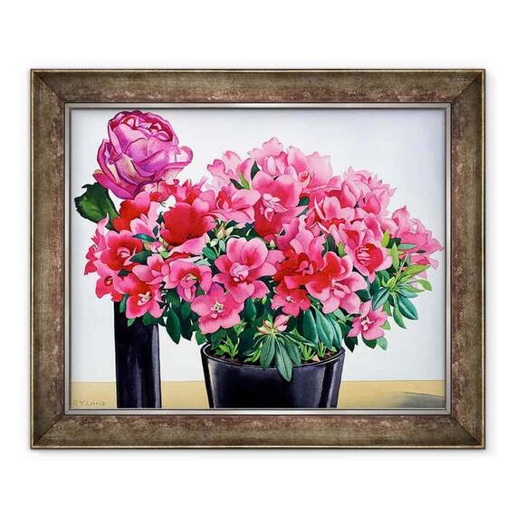 Tablou inramat - Christopher Ryland - Azalea Trandafir - - Roveli