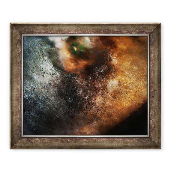 Tablou inramat - Ant Smith - Alte lumi nr. 5 - Modele in alimentatia veche, 2014 - - Roveli