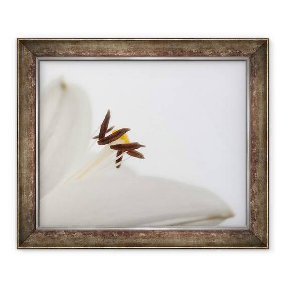 Tablou inramat - Ant Smith - Delicat floare alba, 2020 - - Roveli