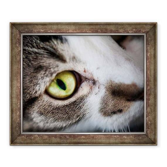 Tablou inramat - Ant Smith - Ochi de pisica Plangand, 2020 - - Roveli