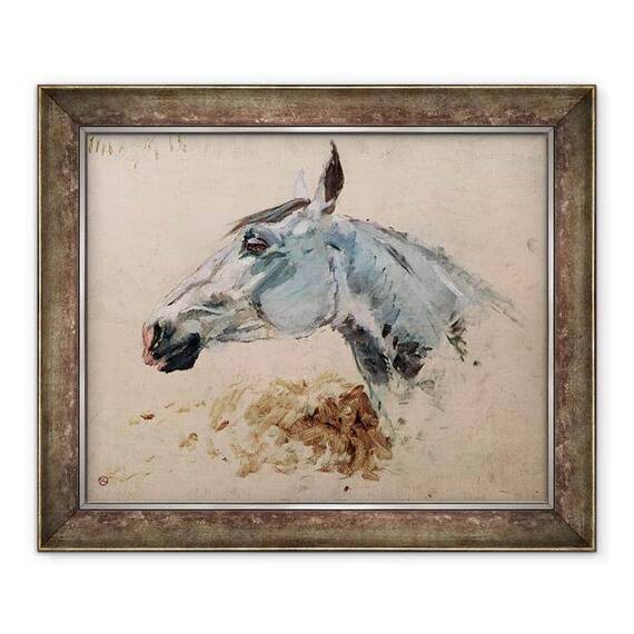 Tablou inramat - Henri de Toulouse-Lautrec - Cal alb Gazelle - - Roveli