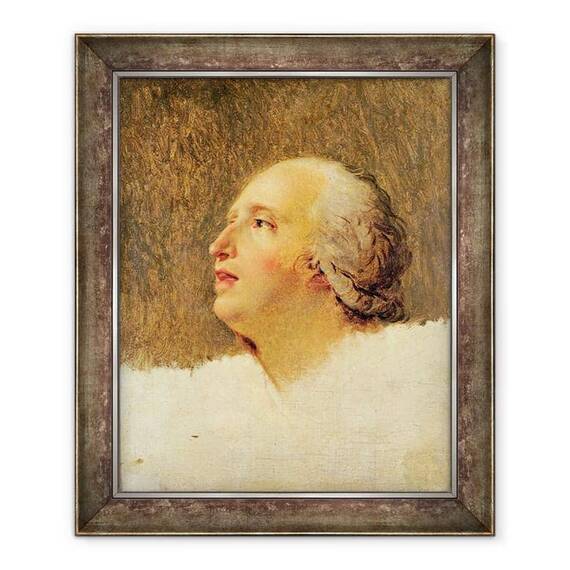 Tablou inramat - Jacques Louis David - Portretul lui Pierre Louis Prieur Prieur de la Marne - - Roveli