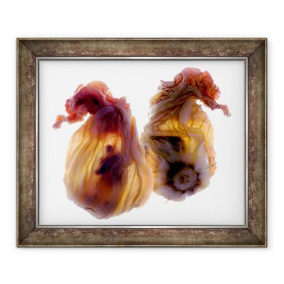 Tablou inramat - Julia McLemore - Duo Zucchini Blossom, 2009 - - Roveli