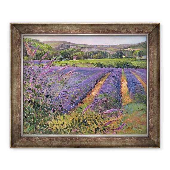 Tablou inramat - Timothy Easton - Campul Budleia si levantica, Montclus - - Roveli