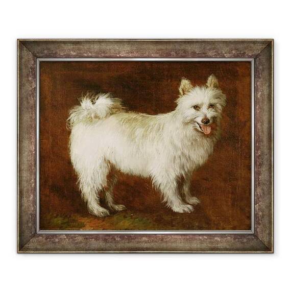 Tablou inramat - Thomas Gainsborough - Spitz Dog - - Roveli