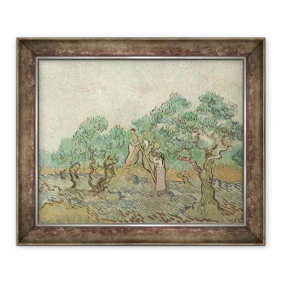 Tablou inramat - Vincent van Gogh - Livada de maslini - - Roveli