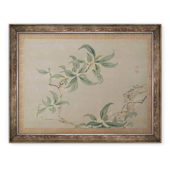 Tablou inramat - Tsubaki Chinzan - Blossom - - Roveli