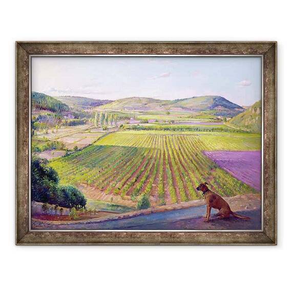 Tablou inramat - Timothy Easton - Vizionarea de la Ziduri, Vechea Provence - - Roveli
