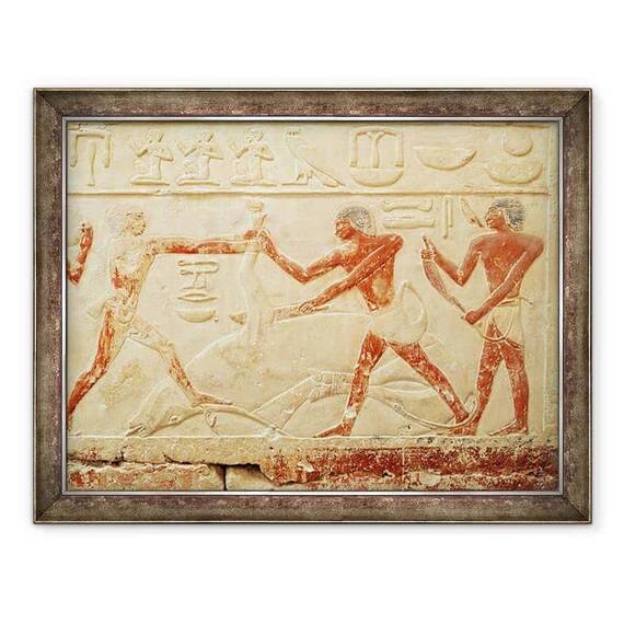 Tablou inramat - Egyptian 6th Dynasty - Macelari sacrificarea unui bou, scutire din mormantul printesei Imut, Vechiul Regat - - Roveli