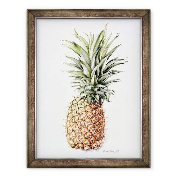 Tablou inramat - Alison Cooper - Ananas - - Roveli