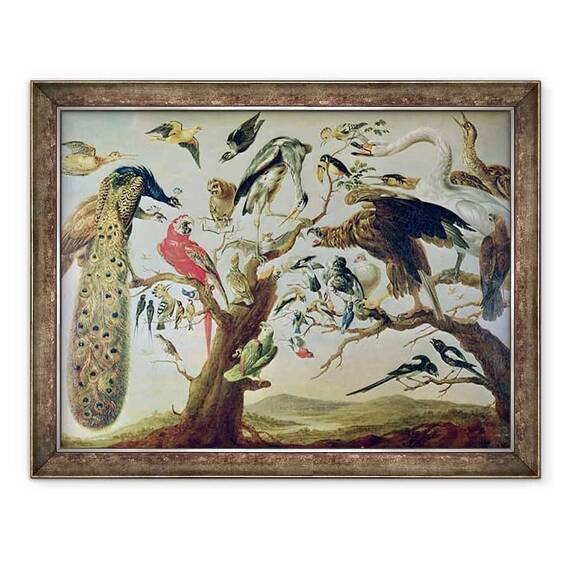 Tablou inramat - Frans Snyders - Concertul pasarilor - - Roveli