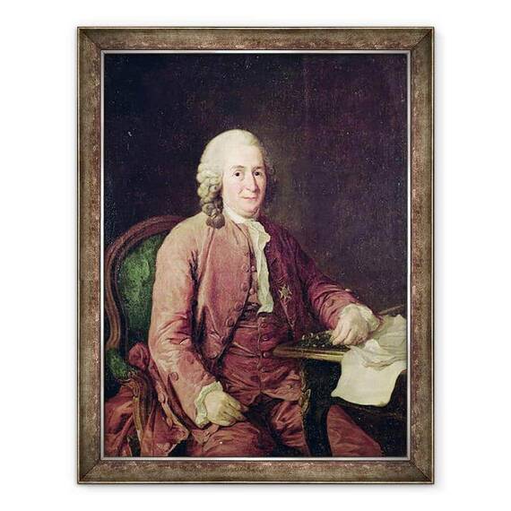 Tablou inramat - Alexander Roslin - Portretul lui Carl von Linnaeus 1707-78 - - Roveli