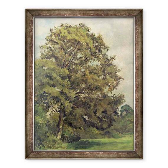 Tablou inramat - Lionel Constable - Studiul unui frasin - - Roveli